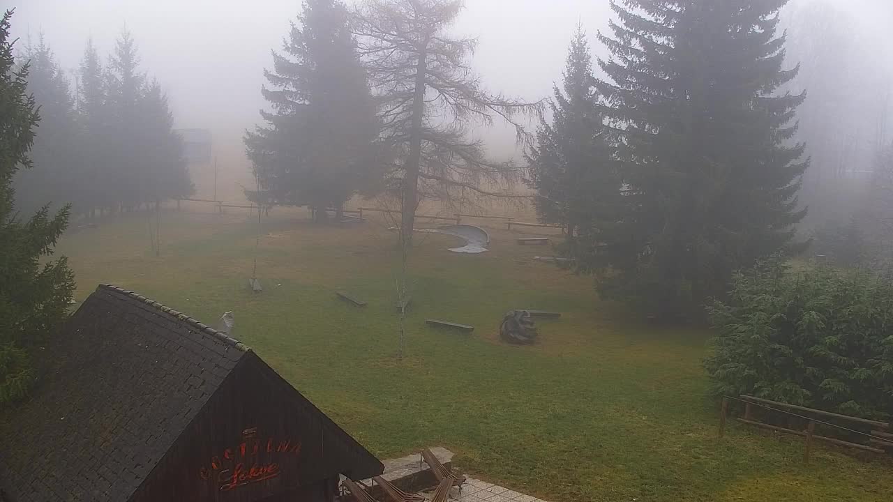 Webcam Lokve – La beauté de la forêt de Trnovo