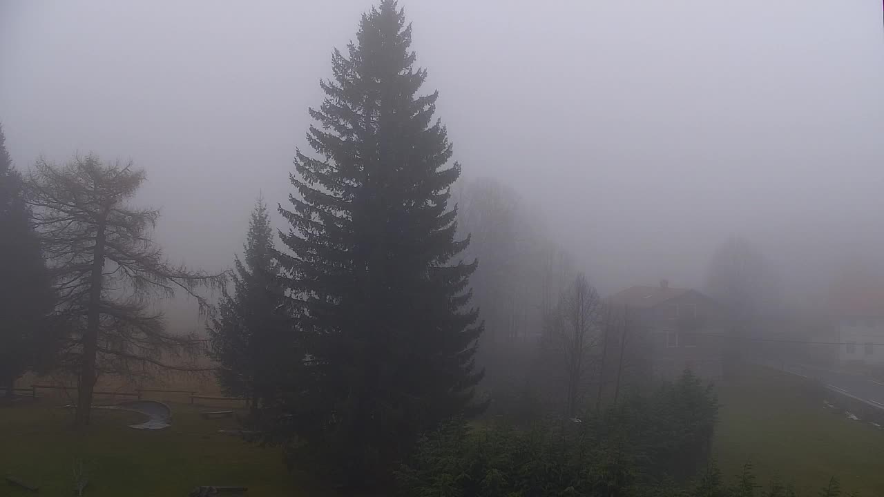 Camera en vivo Lokve – La belleza del bosque de Trnovo