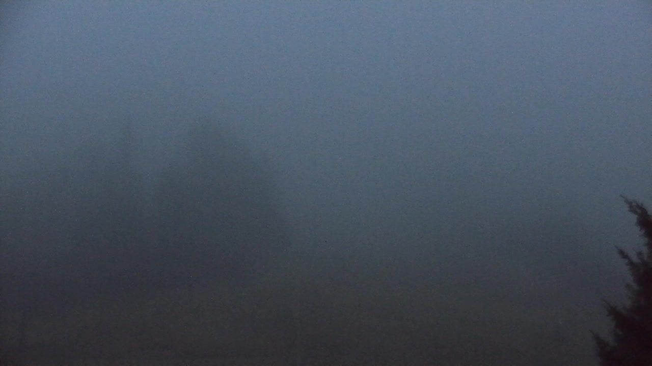 Lokve kamera – Naravne lepote Trnovskega gozda