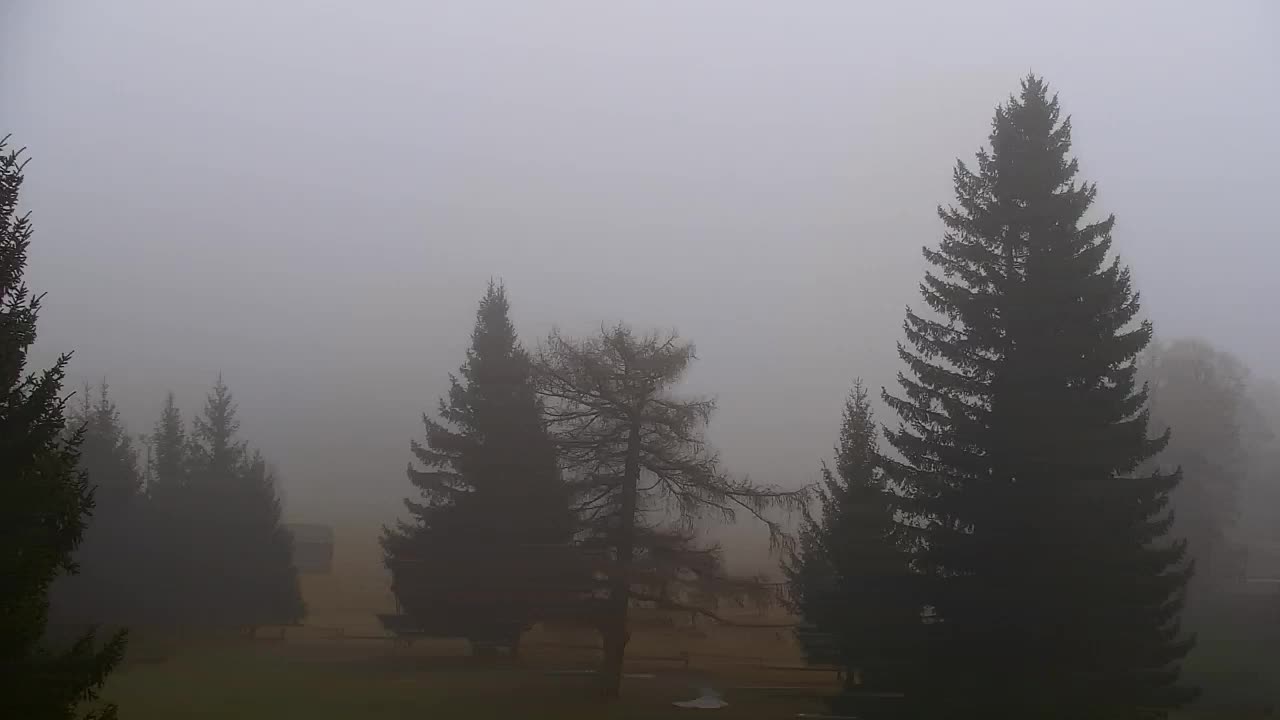 Webcam Loqua / Lokve – La bellezza della selva di Tarnova