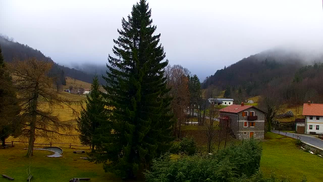 Webcam Lokve – Die Schönheit des Trnovo-Waldes