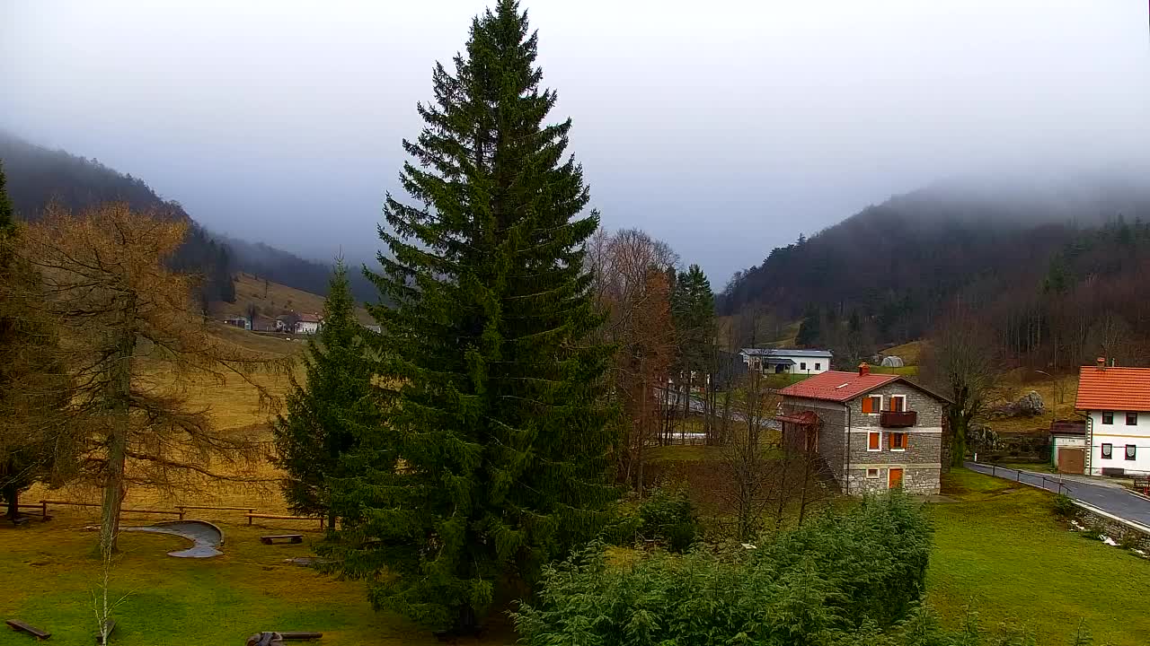 Camera en vivo Lokve – La belleza del bosque de Trnovo