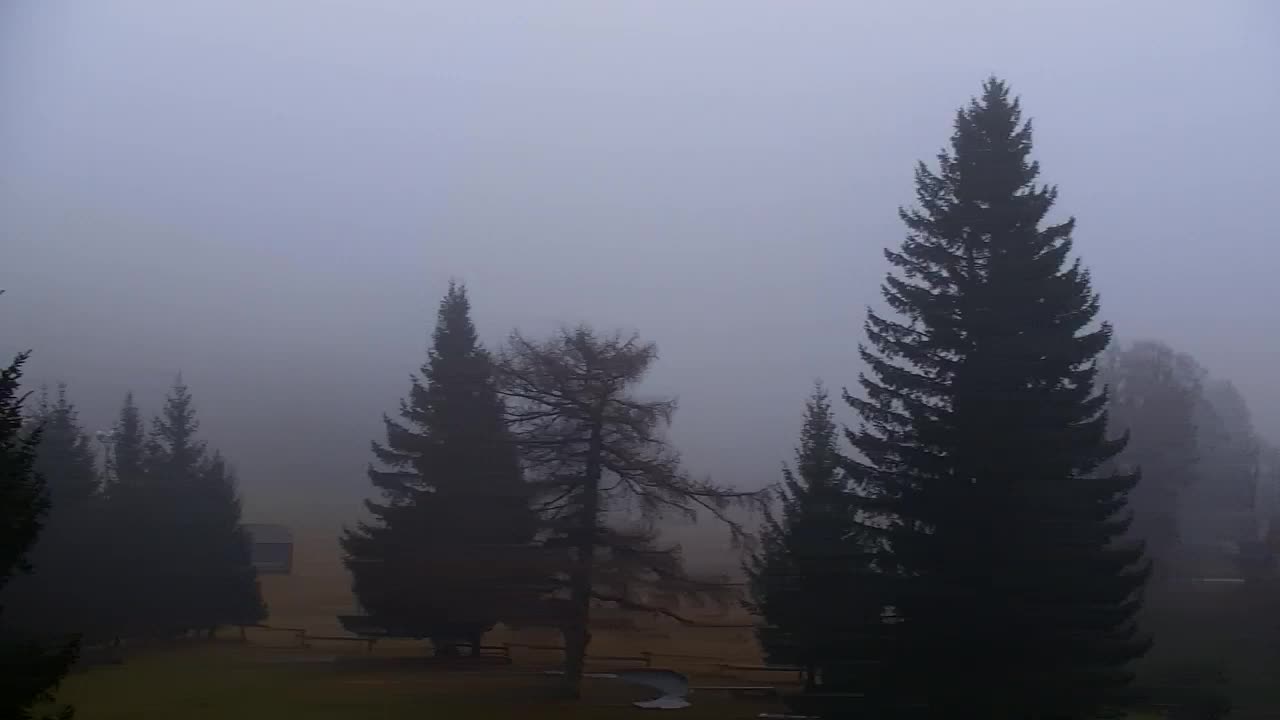 Webcam Loqua / Lokve – La bellezza della selva di Tarnova