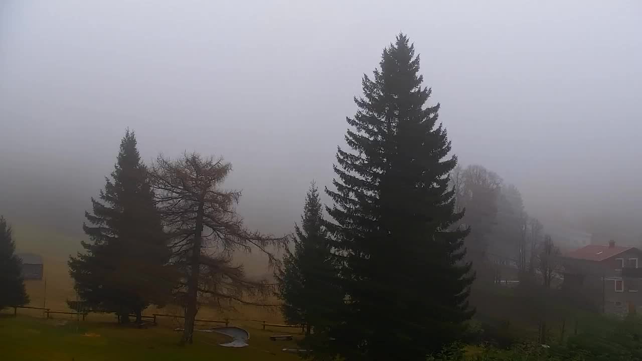 Webcam Lokve – The beauty of the Trnovo forest