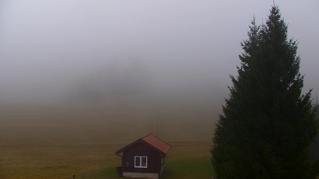 Lokve kamera – Naravne lepote Trnovskega gozda