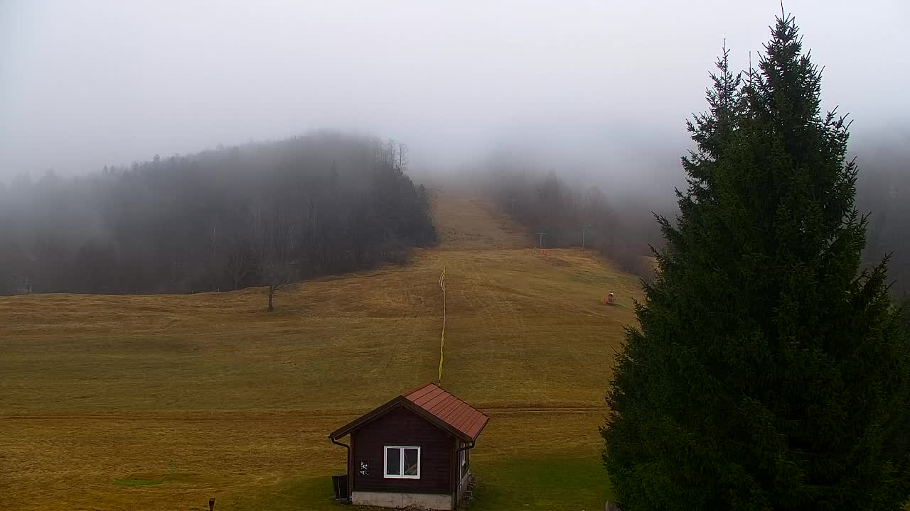 Webcam Loqua / Lokve – La bellezza della selva di Tarnova