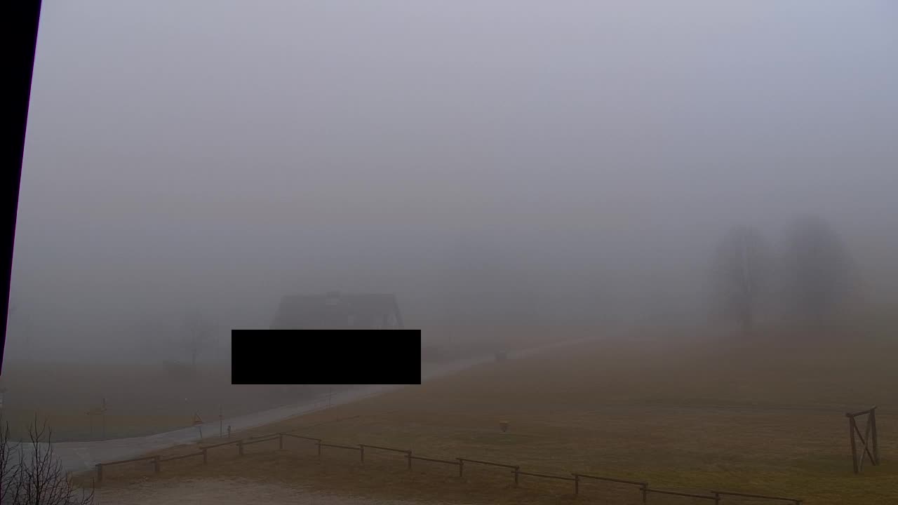 Webcam Loqua / Lokve – La bellezza della selva di Tarnova