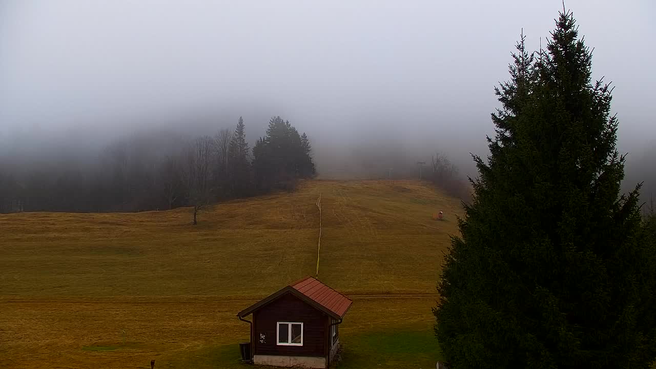 Webcam Lokve – La beauté de la forêt de Trnovo