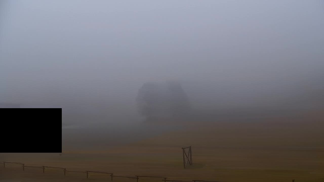 Webcam Lokve – The beauty of the Trnovo forest