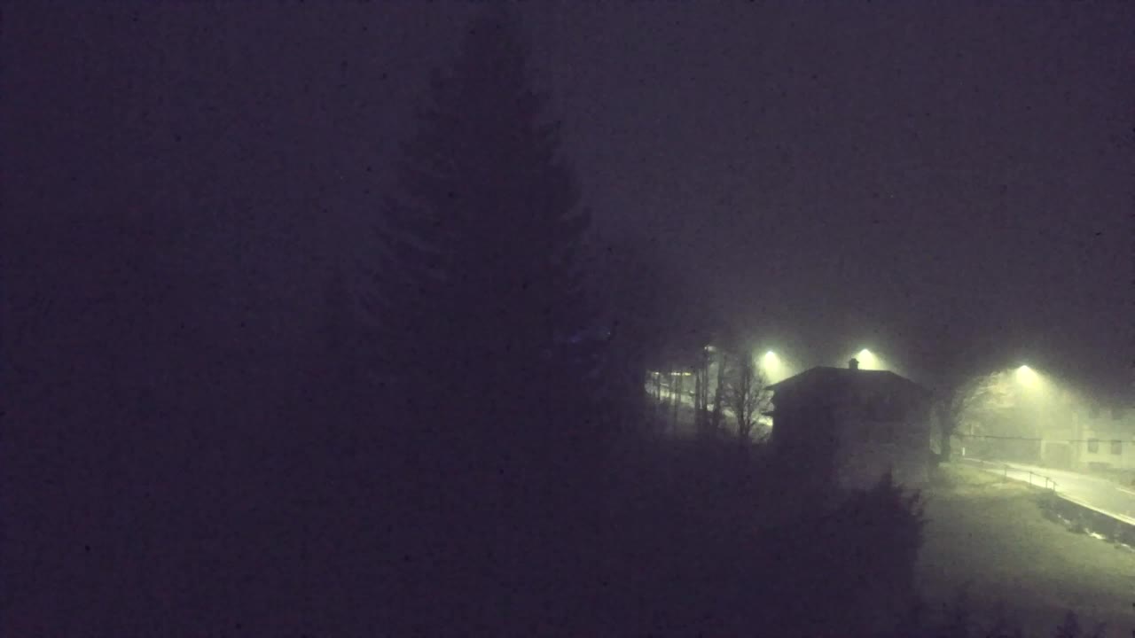 Webcam Lokve – La beauté de la forêt de Trnovo