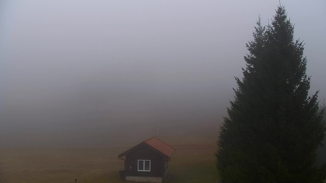 Webcam Lokve – Die Schönheit des Trnovo-Waldes