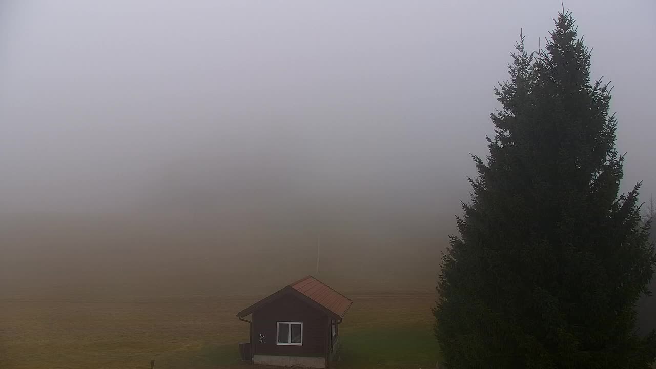 Webcam Lokve – La beauté de la forêt de Trnovo