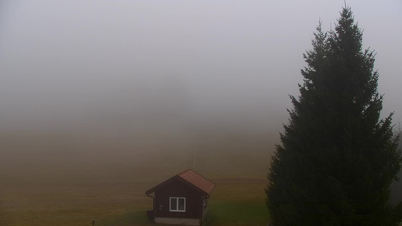 Webcam Lokve – Die Schönheit des Trnovo-Waldes