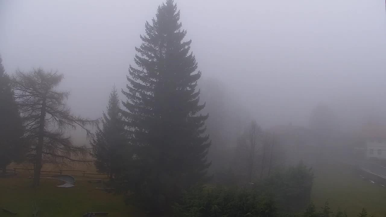 Camera en vivo Lokve – La belleza del bosque de Trnovo