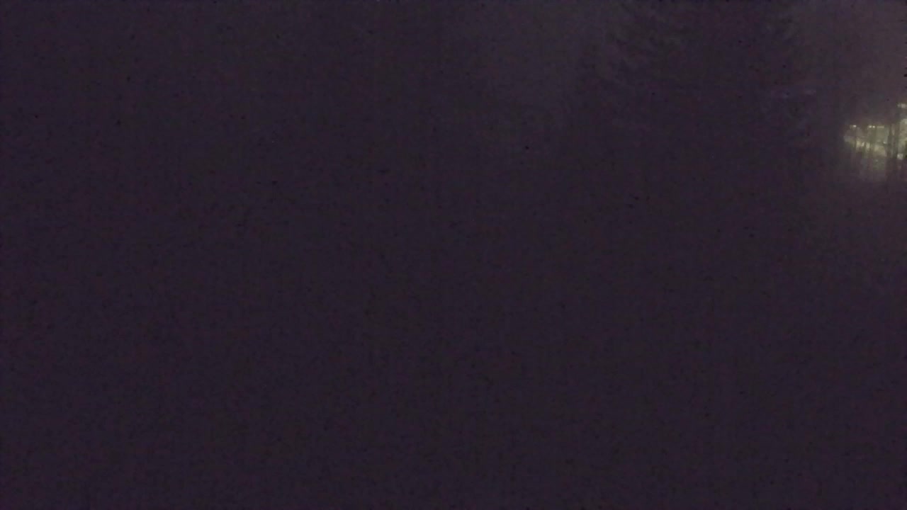 Webcam Lokve – Die Schönheit des Trnovo-Waldes