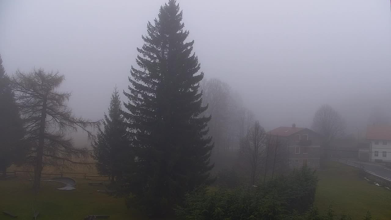 Camera en vivo Lokve – La belleza del bosque de Trnovo