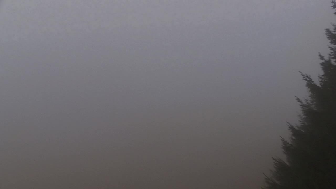 Webcam Lokve – The beauty of the Trnovo forest