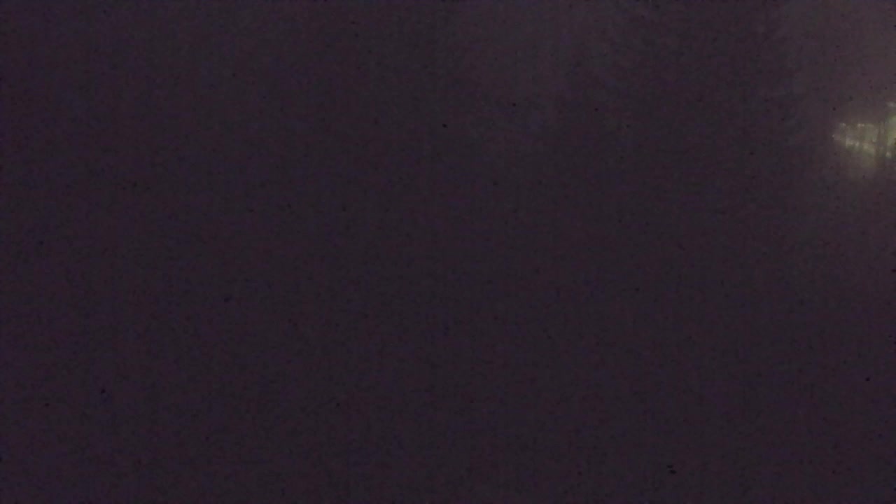 Webcam Lokve – Die Schönheit des Trnovo-Waldes