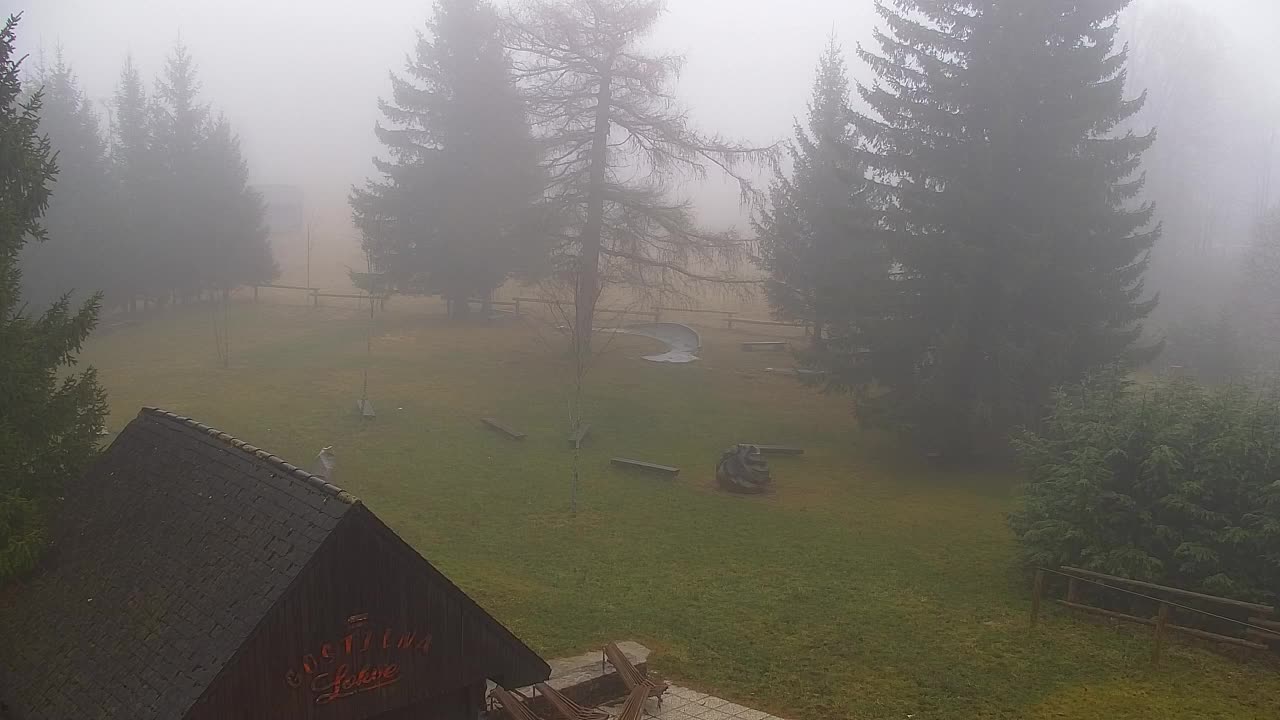 Webcam Lokve – La beauté de la forêt de Trnovo