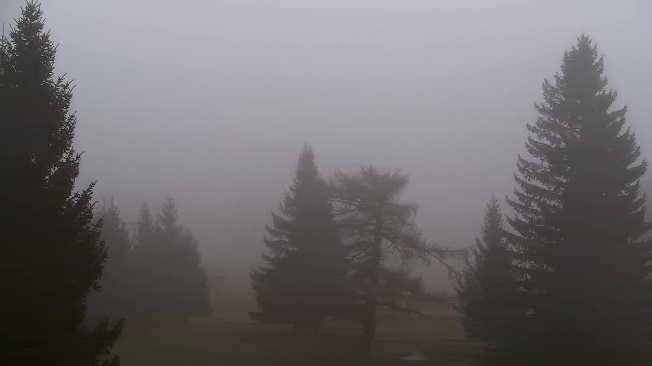 Webcam Lokve – Die Schönheit des Trnovo-Waldes