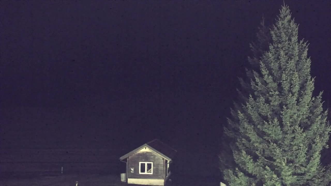 Webcam Loqua / Lokve – La bellezza della selva di Tarnova