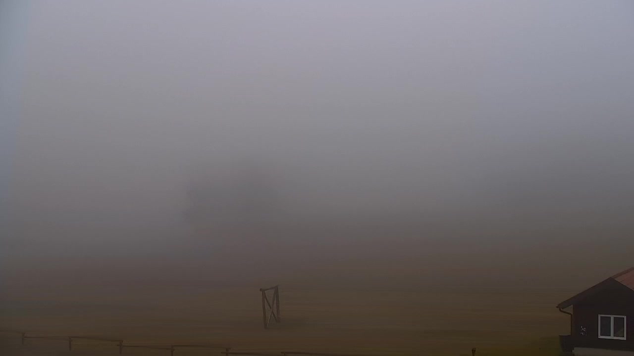 Webcam Lokve – Die Schönheit des Trnovo-Waldes