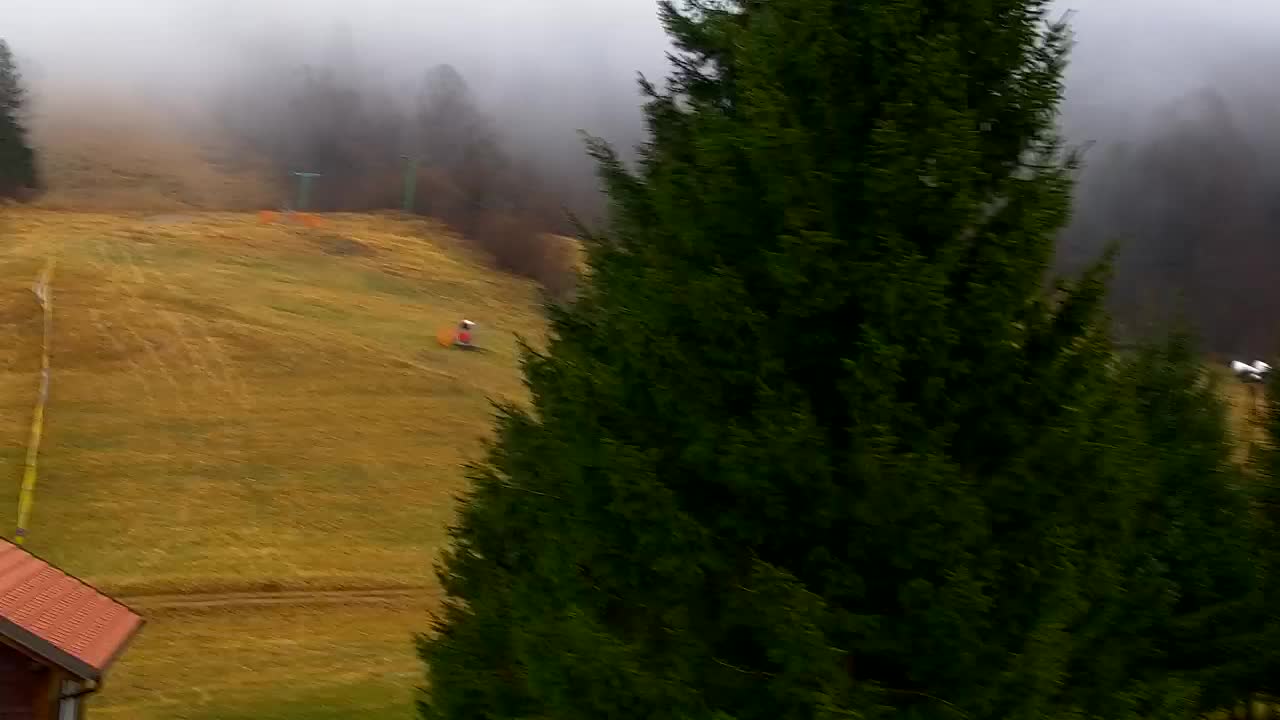 Webcam Loqua / Lokve – La bellezza della selva di Tarnova