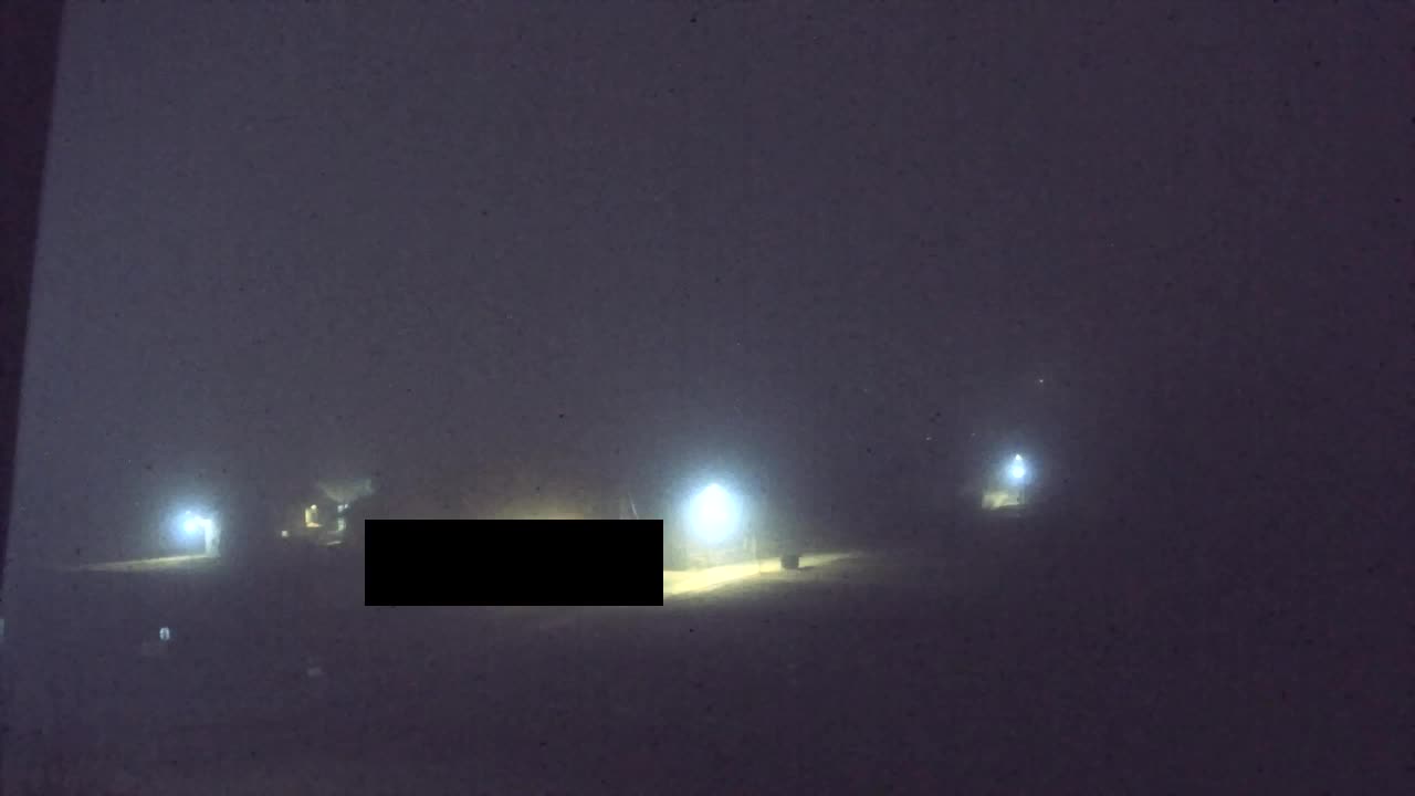 Webcam Loqua / Lokve – La bellezza della selva di Tarnova