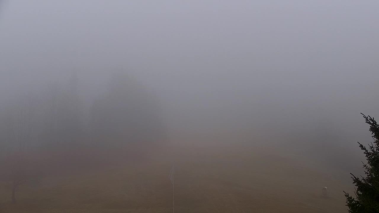 Webcam Lokve – The beauty of the Trnovo forest