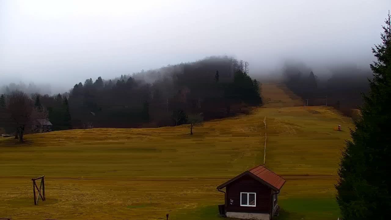 Webcam Lokve – Die Schönheit des Trnovo-Waldes