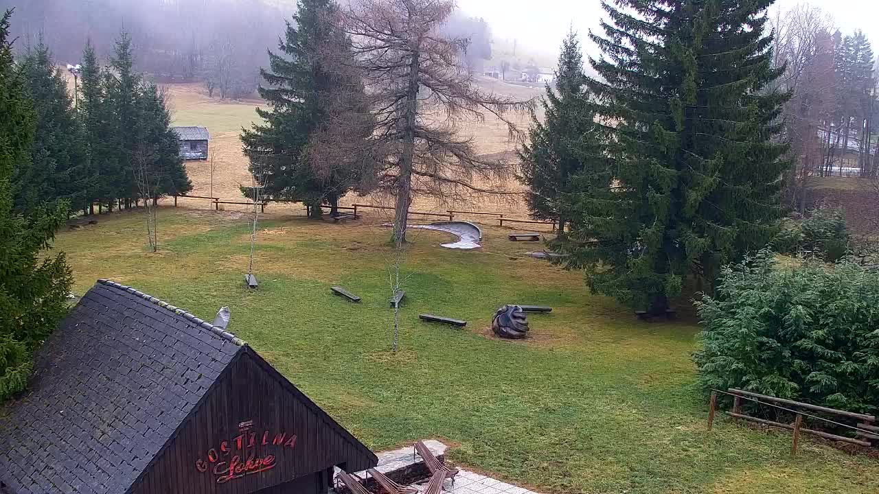 Webcam Lokve – La beauté de la forêt de Trnovo