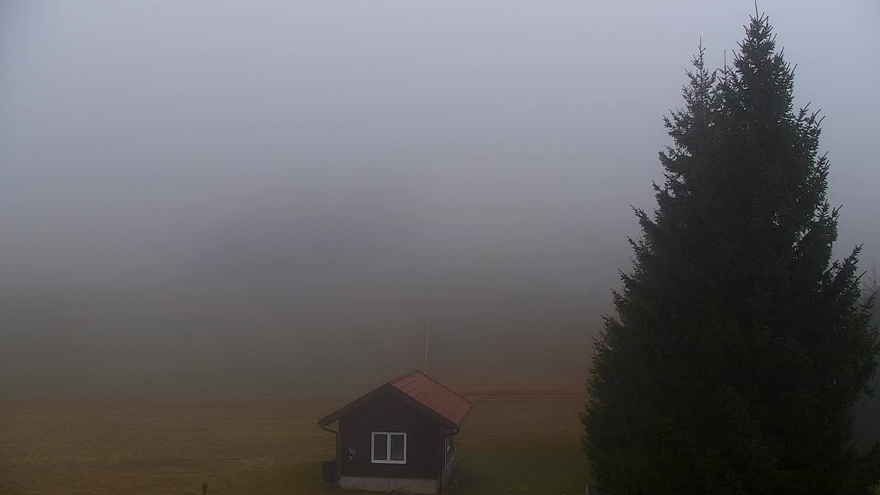 Webcam Lokve – The beauty of the Trnovo forest