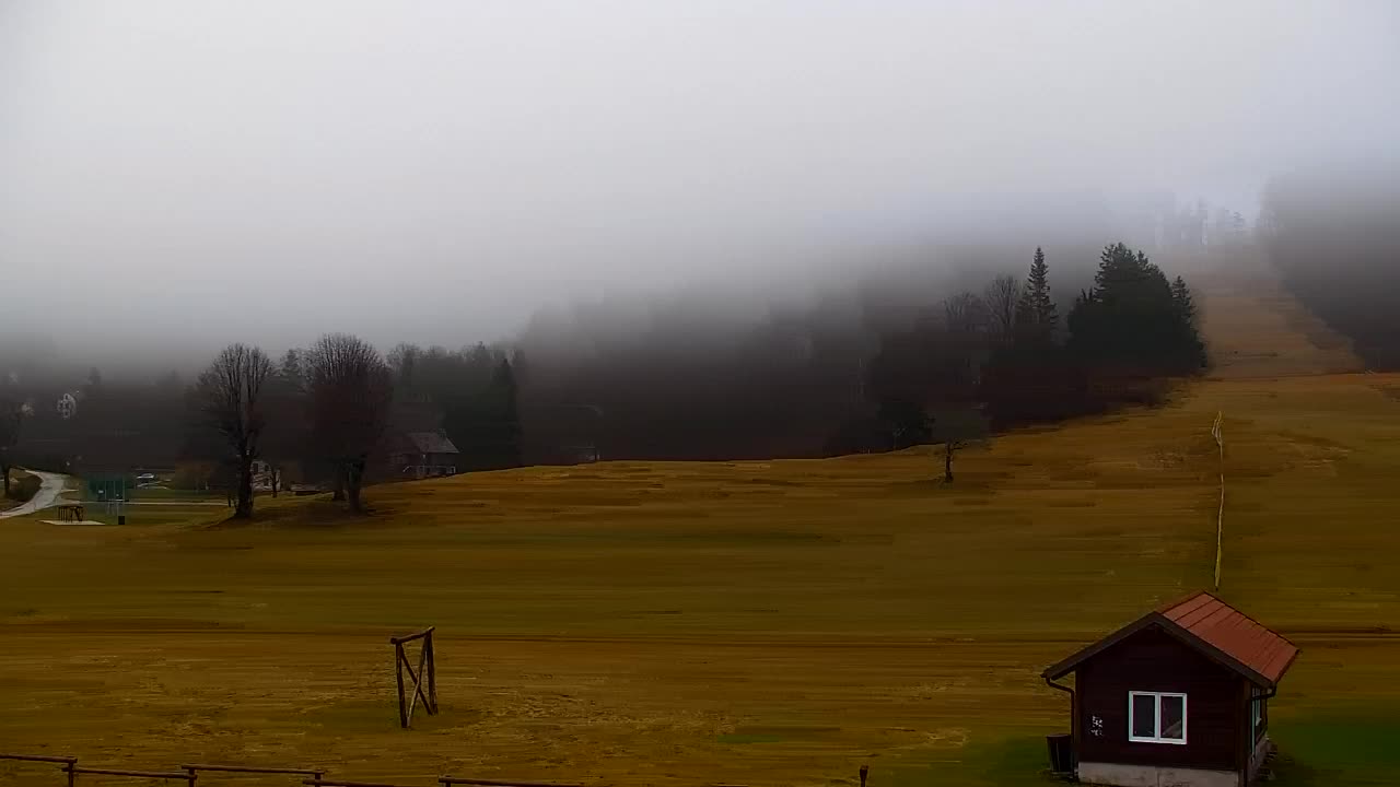 Lokve kamera – Naravne lepote Trnovskega gozda