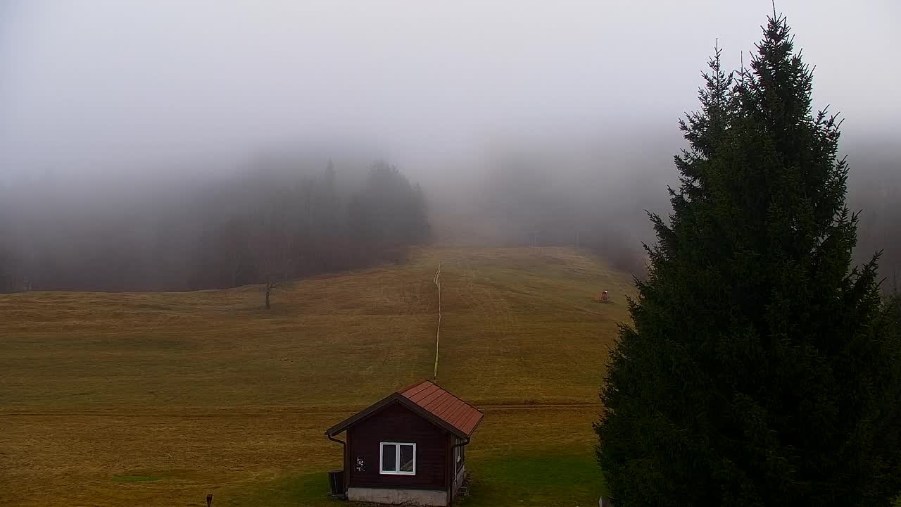 Webcam Lokve – Die Schönheit des Trnovo-Waldes