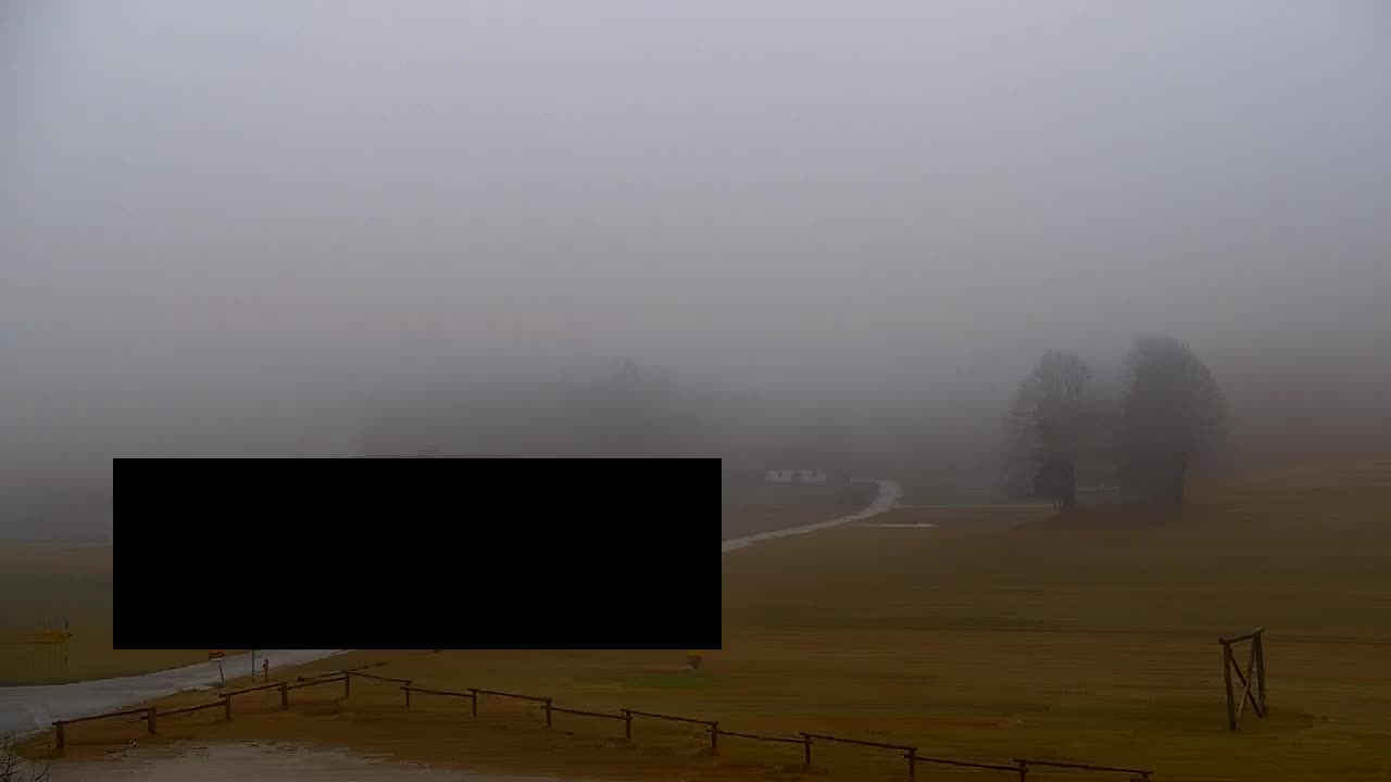 Lokve kamera – Naravne lepote Trnovskega gozda