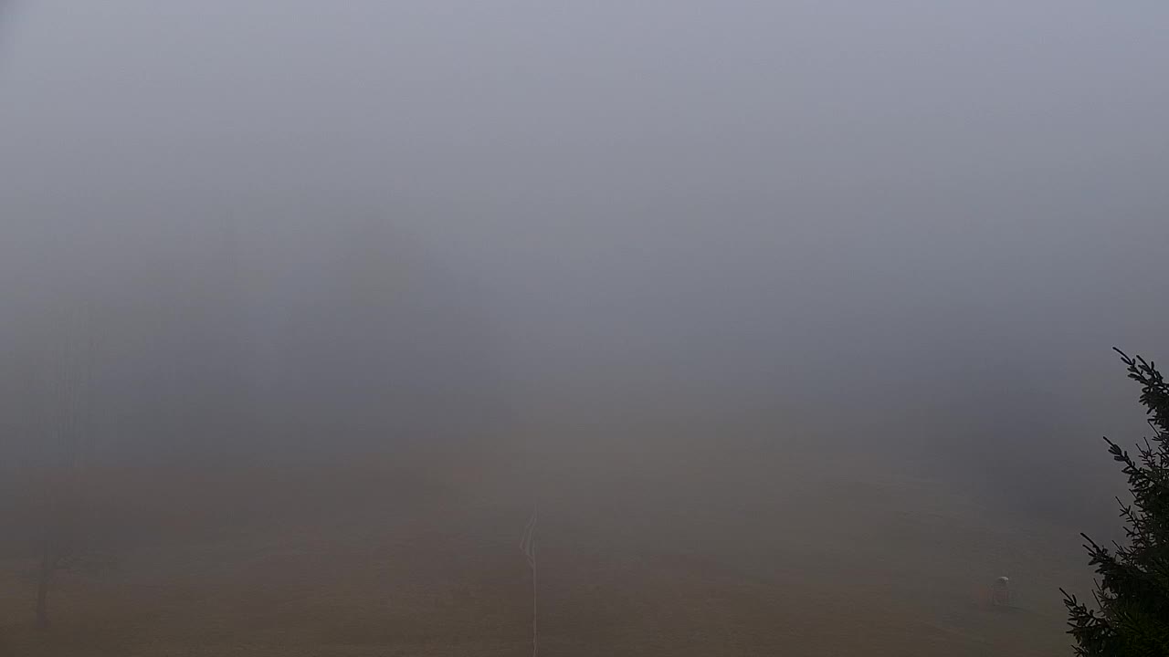 Webcam Lokve – La beauté de la forêt de Trnovo