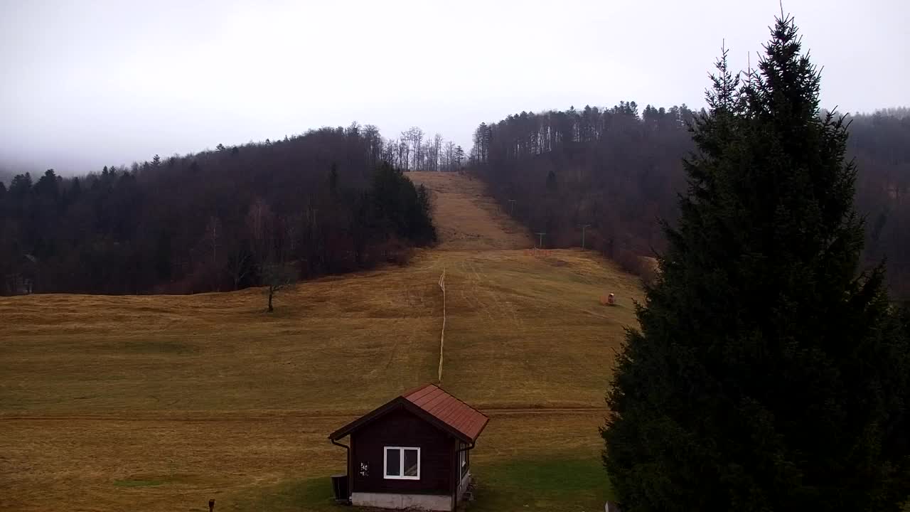 Webcam Lokve – The beauty of the Trnovo forest