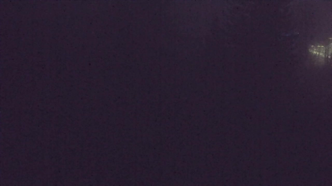 Webcam Lokve – La beauté de la forêt de Trnovo