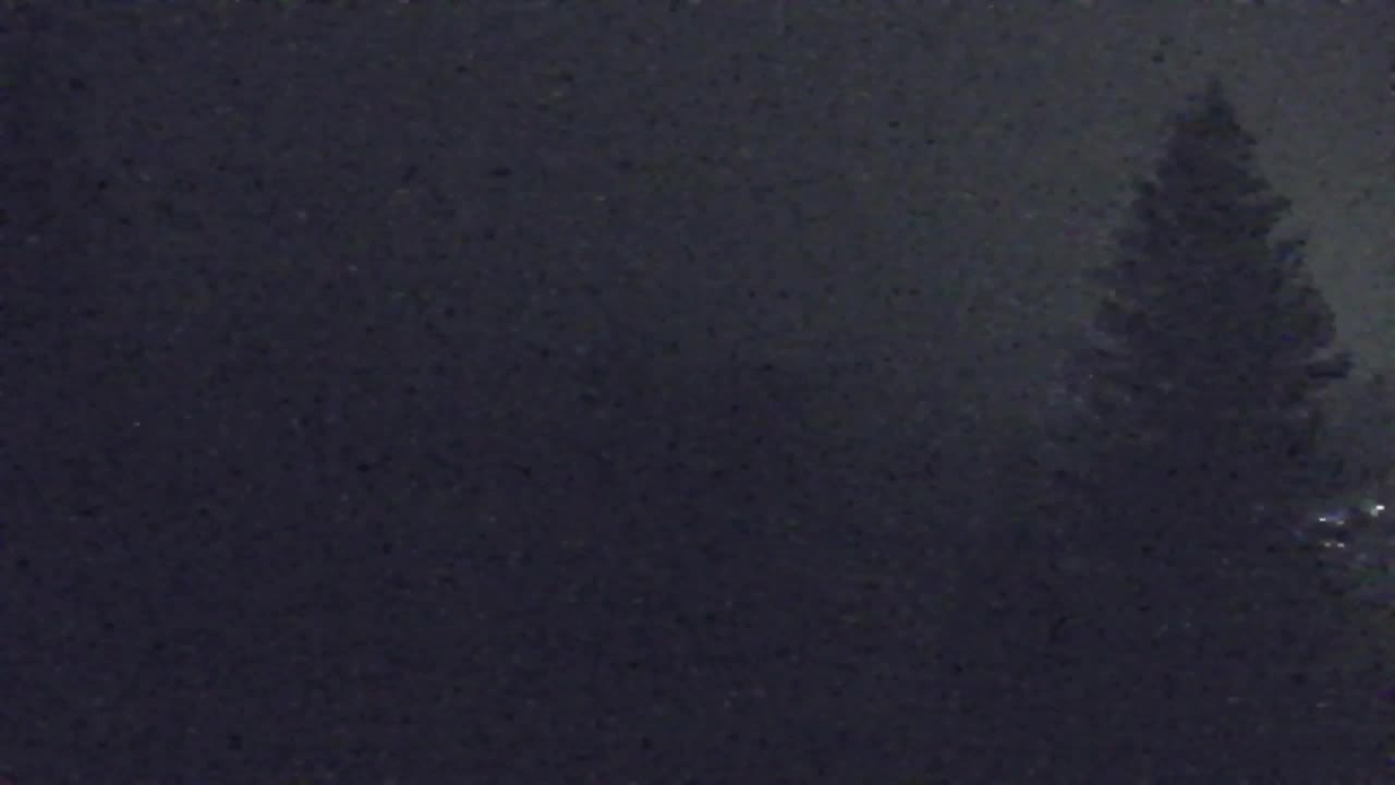 Web kamera Lokve – Ljepota Trnovske šume