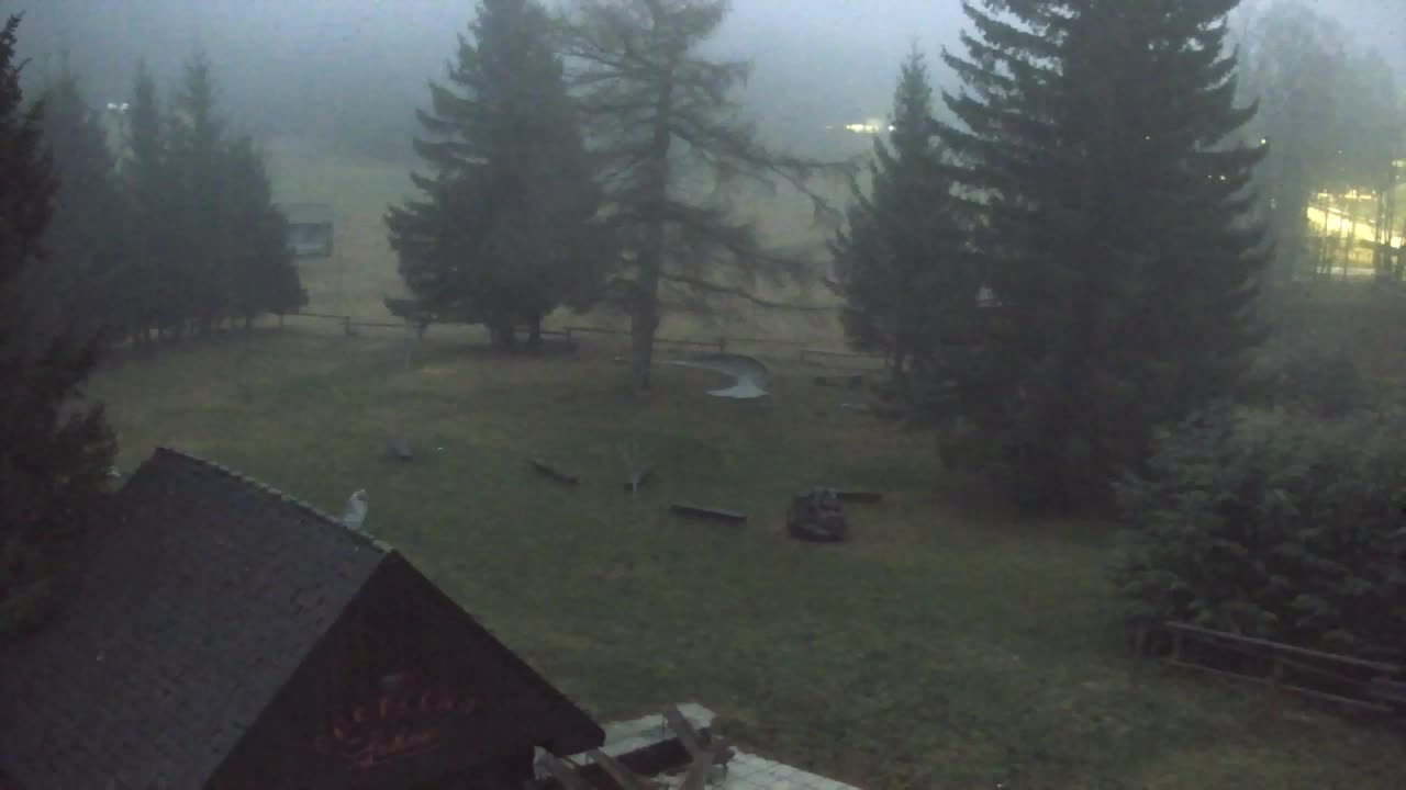 Webcam Lokve – La beauté de la forêt de Trnovo