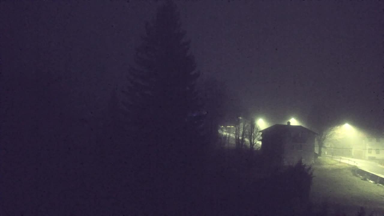 Webcam Lokve – La beauté de la forêt de Trnovo