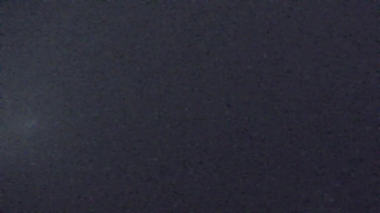 Webcam Loqua / Lokve – La bellezza della selva di Tarnova