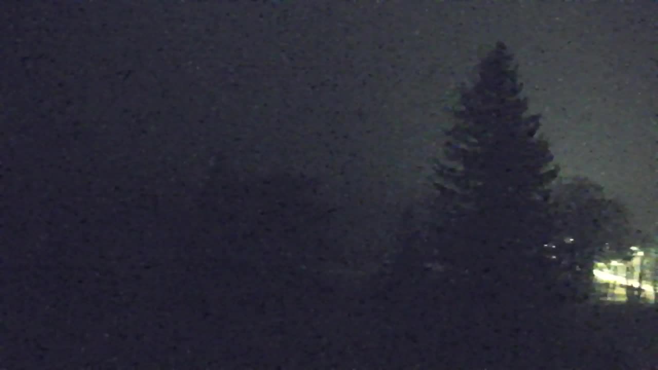 Webcam Lokve – Die Schönheit des Trnovo-Waldes