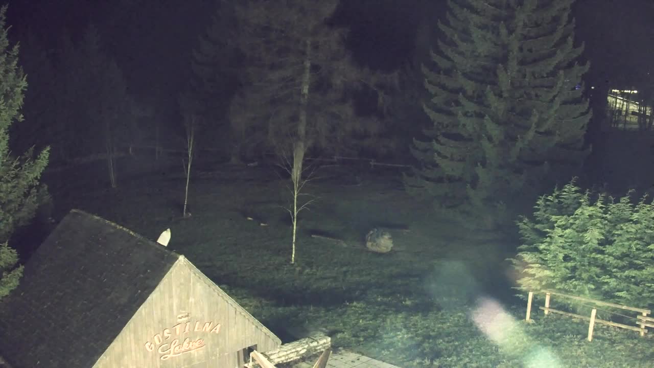 Webcam Lokve – The beauty of the Trnovo forest