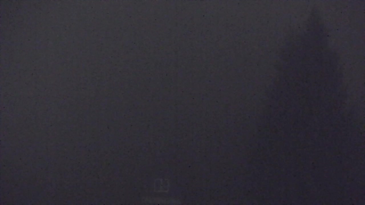 Webcam Loqua / Lokve – La bellezza della selva di Tarnova