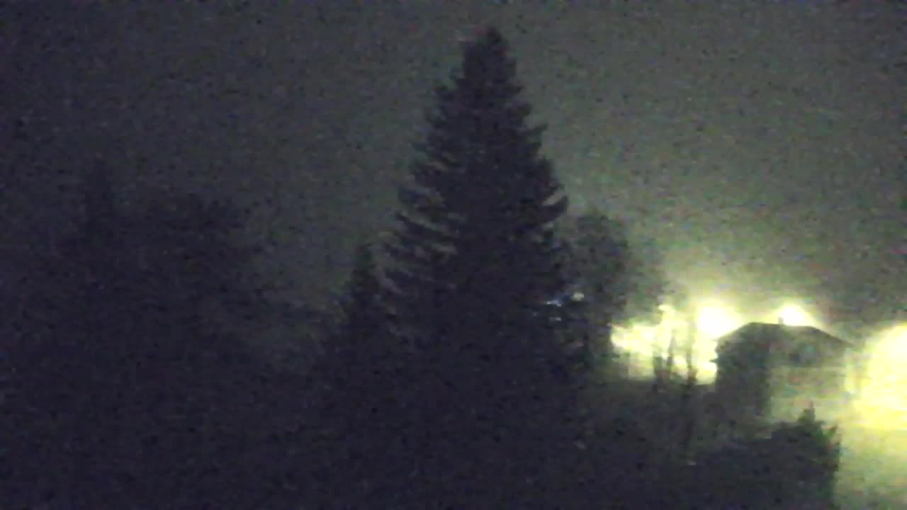 Webcam Loqua / Lokve – La bellezza della selva di Tarnova