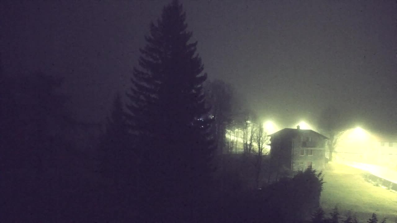 Webcam Lokve – La beauté de la forêt de Trnovo