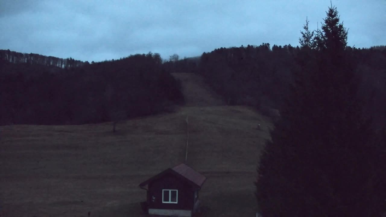 Webcam Loqua / Lokve – La bellezza della selva di Tarnova