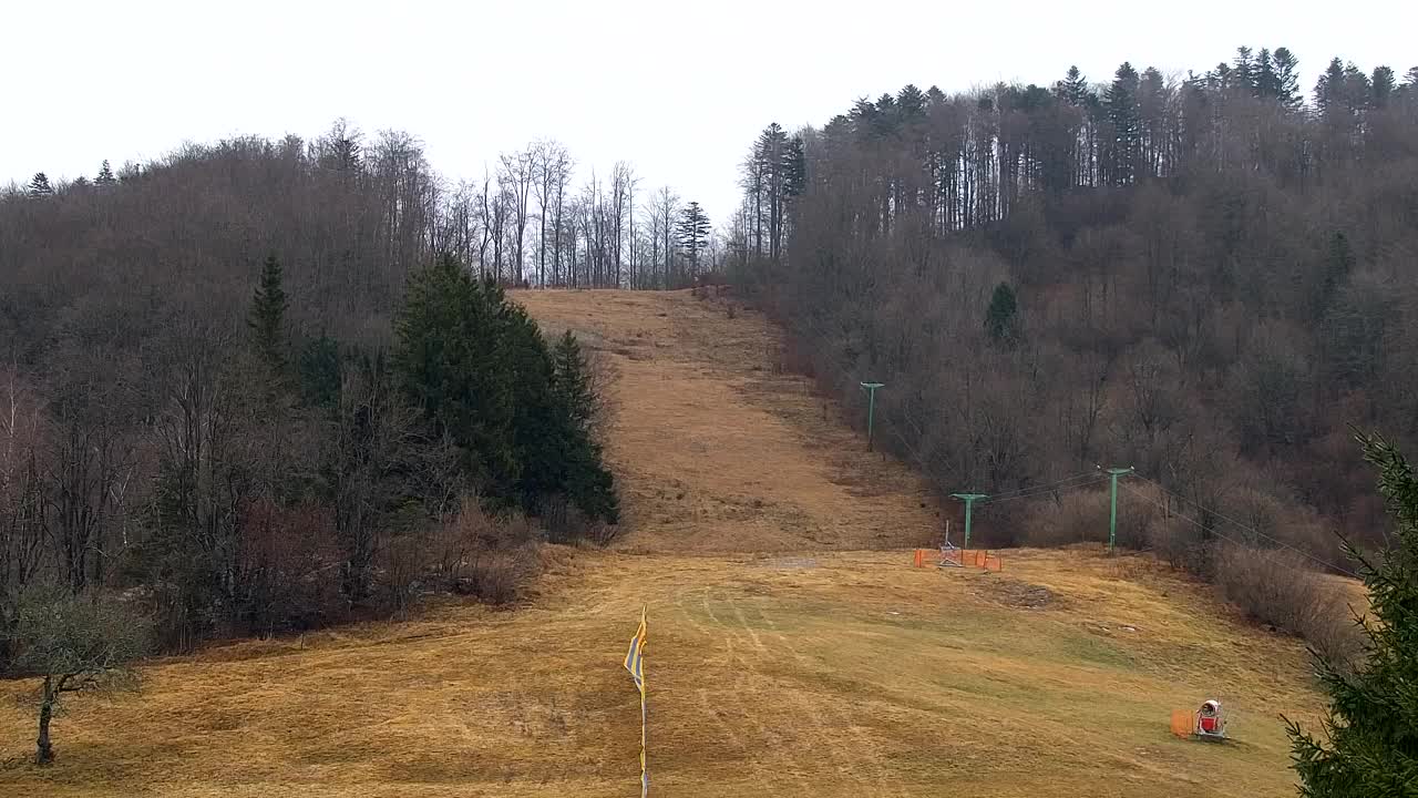 Webcam Lokve – The beauty of the Trnovo forest