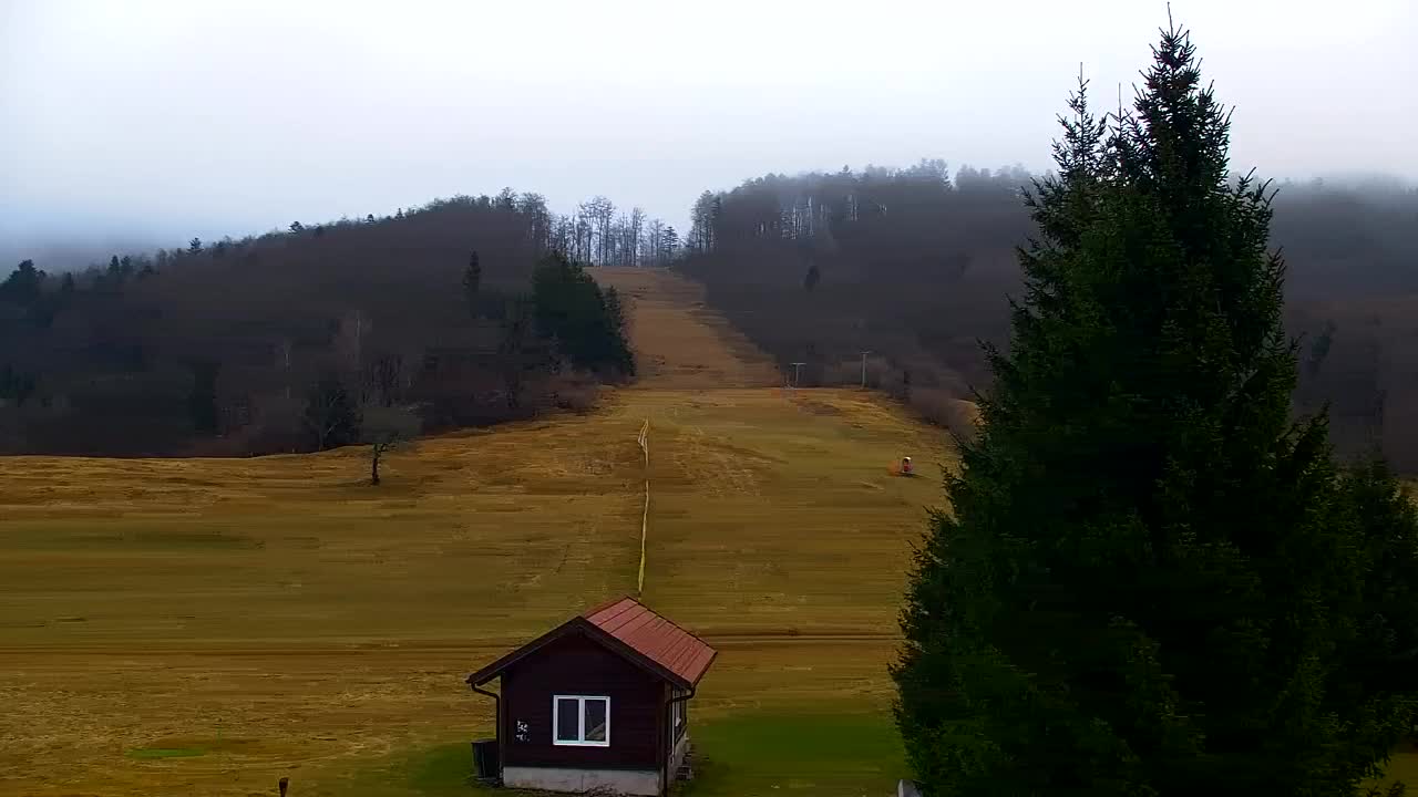 Web kamera Lokve – Ljepota Trnovske šume